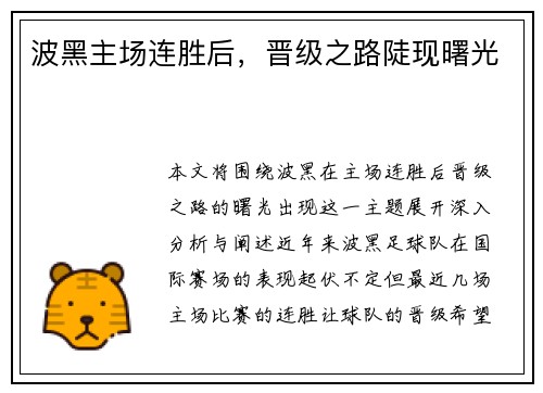 波黑主场连胜后，晋级之路陡现曙光
