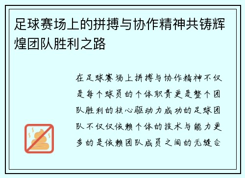 足球赛场上的拼搏与协作精神共铸辉煌团队胜利之路